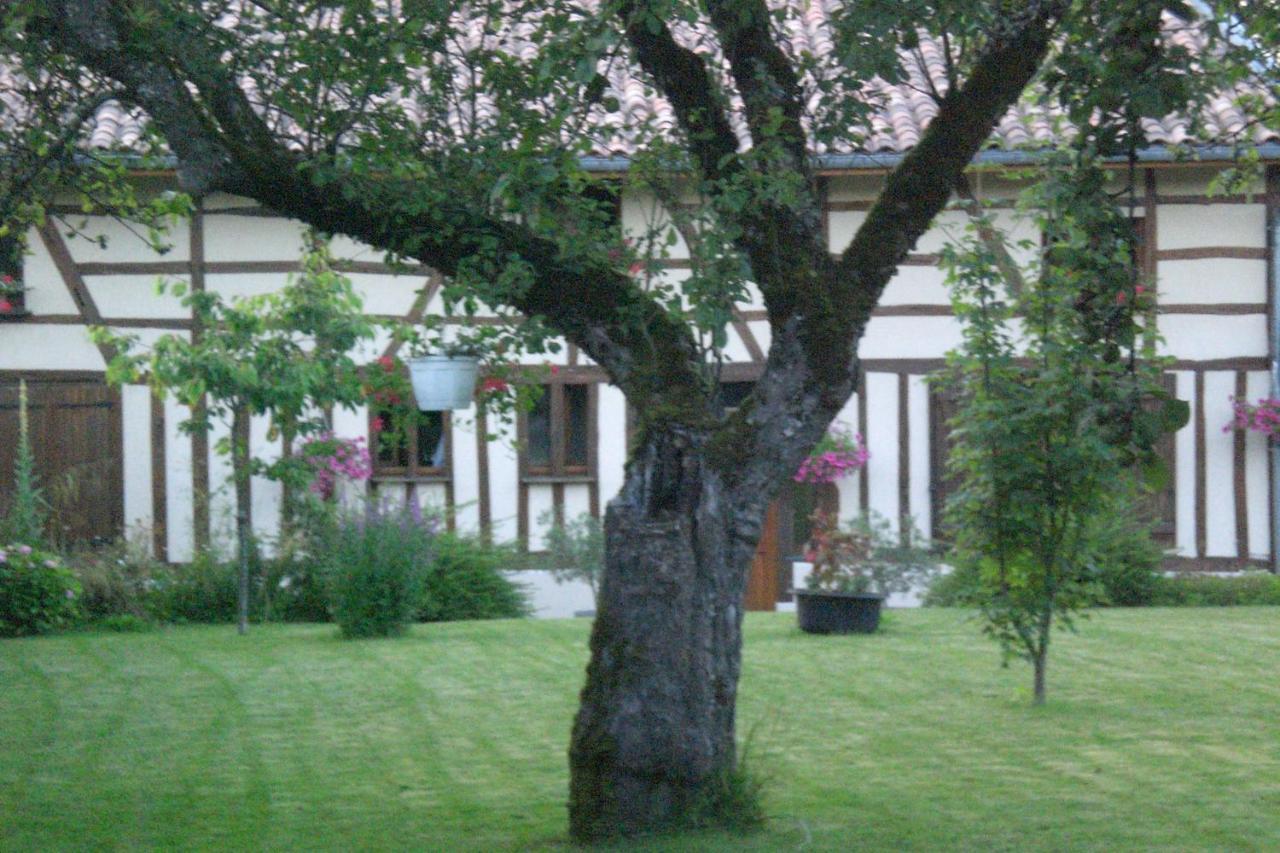 La Maison Du Bucheron Futeau Exteriér fotografie