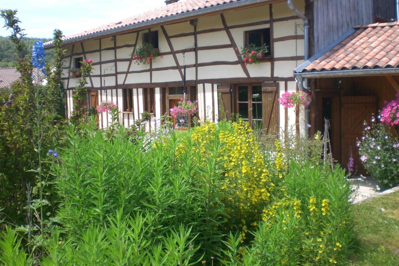 La Maison Du Bucheron Futeau Exteriér fotografie